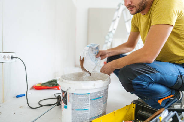 Best Mold Odor Removal Services  in Frontenac, KS