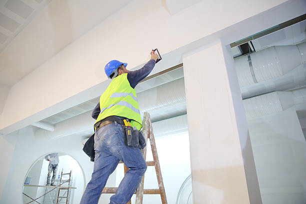 Best Mold Removal for HVAC Installations  in Frontenac, KS